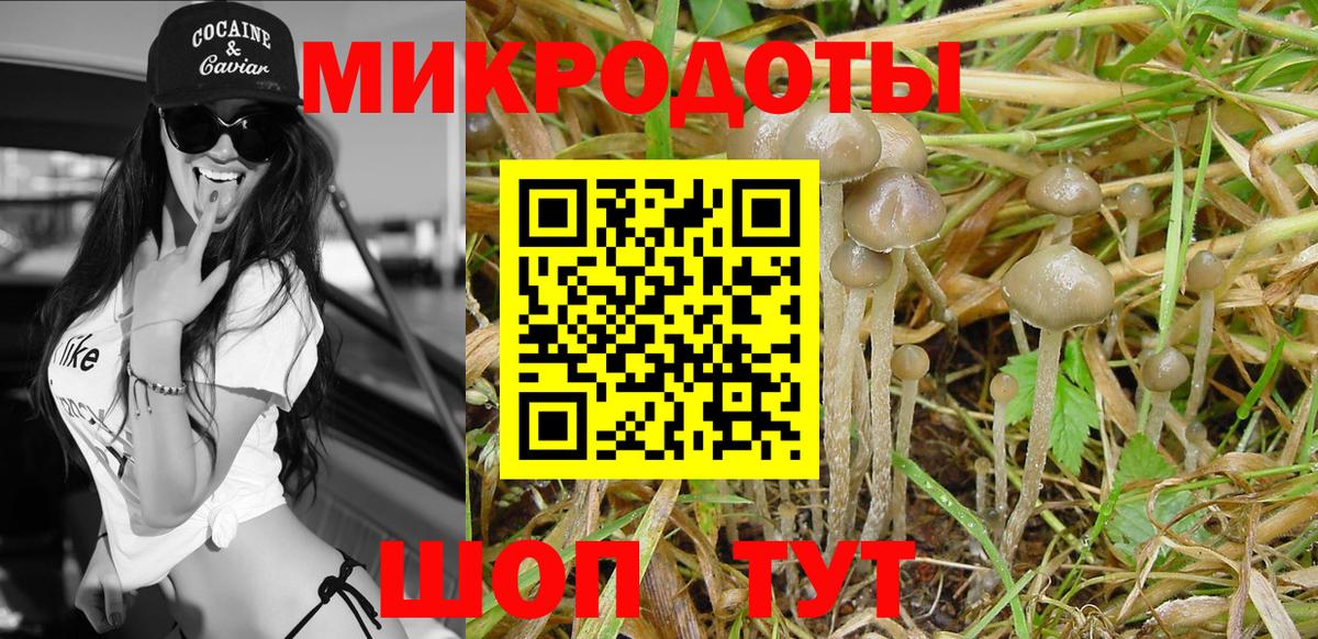Галлюциногенные грибы мухоморы Кувандык
