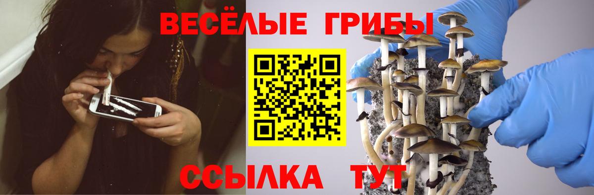 Кувандык  Псилоцибиновые грибы GOLDEN TEACHER  дарнет шоп  Вход с VPN 